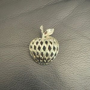 Chic Silver Apple Brooch